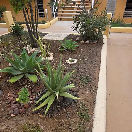 Apartmán Sonia Costa Calma