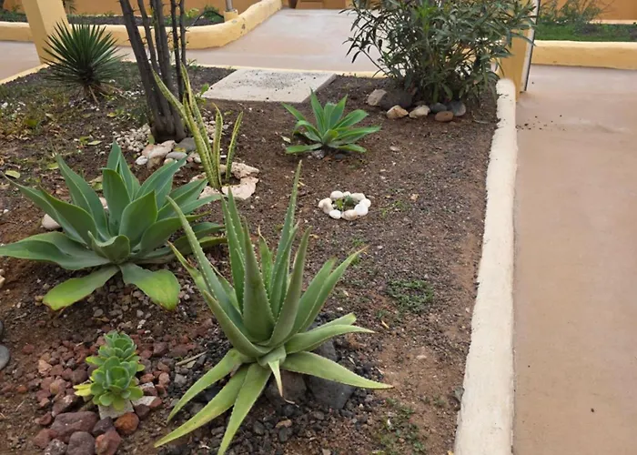 Appartement Sonia Costa Calma